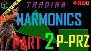 Harmonics (Part 2) P-PRZ | Repainting FULLY EXPLAINED | Day Trading FAQ