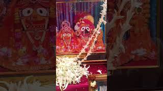 Jai Jagannath 🙏#Jai Sreeram🙏#Hare Krishna🙏#youtubeshorts #viral #best #trendingshorts #