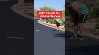 What To Do If You Find A Rattlesnake😱🐍#shorts #rattlesnake