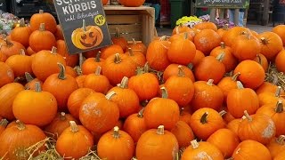 Осень в торгово-развлекательном городе Karls. Autumn in the shopping city of Karls.