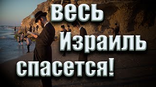 Весь Израиль спасется! Весь?