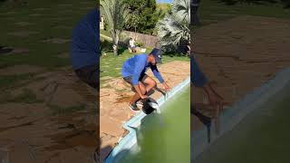 Piscina verde sendo limpa #fy #viral #foryou #piscineiro #pool #satisfying #satisfy #satisfyingvideo