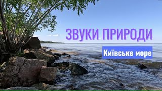 Звуки природи: Київське море | Nature' sounds: Kyiv sea | ASMR 4k