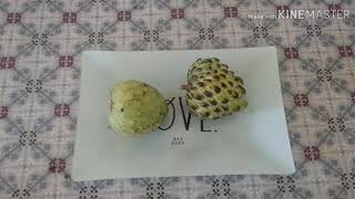 Сахарное яблоко. Custard apple. Экзотический фрукт