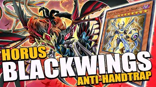 BLACKWINGS X HORUS IS INSANE❗ [Yu-Gi-Oh! Master Duel]