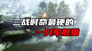 二战时堪称“军舰杀手”的猫？凡待过的军舰竟无一辛免！【大崔奇谈】