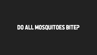 MQA S1 E2: Do All Mosquitoes Bite?