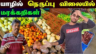 🔴 யாழில் மரக்கறிகள் விலைக்கு என்னதான் நடக்கிறது?? 🤔😢 | Jaffna Vegetables Price | Jaffna Thanush