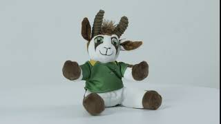 Welcome Bokkie to World Rugby Shop!