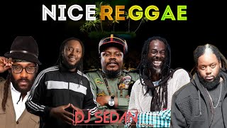 Nice Reggae Mix, Morgan Heritage, Duane Stephenson, Luciano, Buju Banton, Chronixx, Maxi Priest