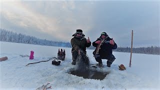 Рыбалка сетями в -18 на севере.Снимаем сети Проверяем жерлицы.