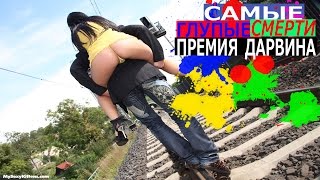 Самые глупые смерти Премия Дарвина