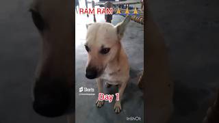 Day 1/75 hard challenge  RAM RAM BHAI  SAREYA NE 🙏🙏🙏🙏 #ram ram bhai sareya ne #viral #viralshort