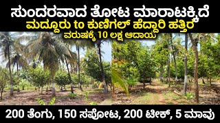 FULLY DEVELOPED FARM LAND FOR SALE NEAR KUNIGAL TO MADDUR HIGHWAY, NEAR BENGALURU, 4.5 ACRE + KARABU