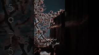 ايهاب المالكي//حكايتنا // ستوريات شعر شعبي// حالات واتس اب//