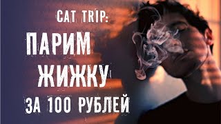 Почему создатели Cat Trip парят жижки за сто рублей