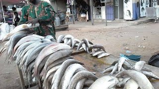 THE LARGEST FISH MARKET IN KENYA