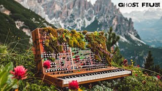 Organic Soundscapes for Relaxation and Sleep [Experimental Ambient Music]