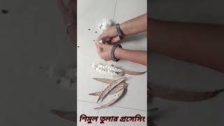 Removing Cotton Seeds by Hand #shorts #short #youtubeshorts #ytshorts #viralshorts