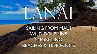 LANAI:  HAWAII TRAVEL SERIES.  Sailing from Lahaina, Maui, Wild Dolphins, Hulopoe Beach, & Snorkling