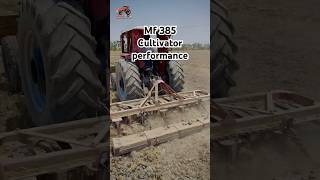 Mf 385 tractor power with 11 tine cultivator. #foryou #farming #mf385  #trending #shorts #fyp #viral