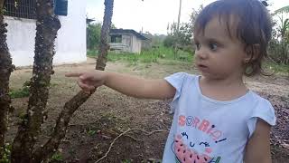 Visitando galinhas no interior e Maria aprendendo a falar