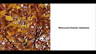 Weinrauch Katalin: Szitakötő