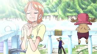 Nami doesn't Like Zoro