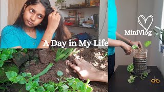 Vlog 1 | A Day In My Life | Selfcare and Gardening | #tamil #vlog #diml