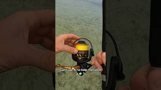 Can I Use AI To Help Me Catch A Fish? #fishing #shorts #trending #explore #youtube #fish #ai