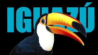 FOZ DE IGUAZÚ 2024 | Guía completa en HD 🐦 Explorando la Maravilla Natural