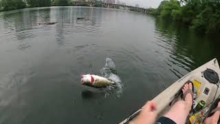 Power Worm Bassin on Lady Bird Lake