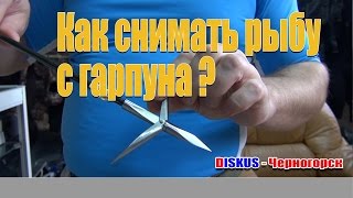 Подводная охота: Как снимать рыбу с гарпуна?