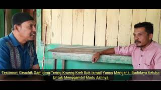 08 TESTIMONI GEUCHIK MENGENAI BUDIDAYA KELULUT UNTUK AMBIL MADU ASLI