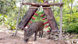 Best Creative Wild Pig Trap Using Sharp Wood #shortvideo