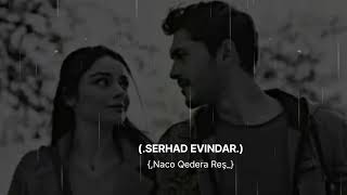 SERHAD. EVINDAR | Naci Qedere Reş. } سرحد افيندار _اغنية كردية العشاق الحب .