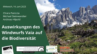 Auswirkungen des Windwurfs Vaia auf die Biodiversität