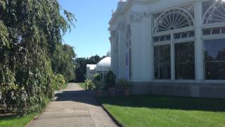 NYBG Through Leaves