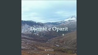 Djemte e Oparit