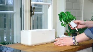 How To: Click & Grow Smart Garden 3 Cleaning