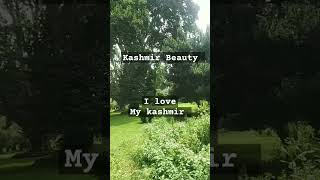 Kashmir Beauty 😍 #shorts #kashmirvalley