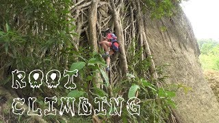 Root Climbing and Abseiling at Danao Adventure Park, Bohol, Philippines