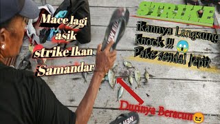 Mancing Baronang || ikan auto Knock pake Sendal || Mace Papua