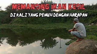 Mancing Mania ikan Teri