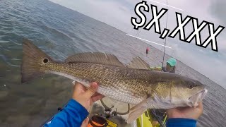 Catching fish worth BIG MONEY $$ (kayak fishing)