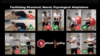 Functional and Fun Exercises for Lower Back Pain: Improved Posture, Movement Quality with Immostrap