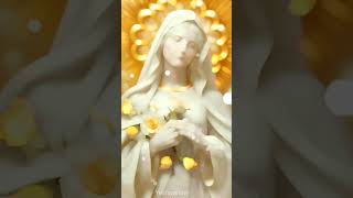 Sep - 8 Nativity of Mother Mary whats app status video #marianfeast #mariandevotion