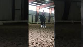 An excellent dressage turn on the haunches