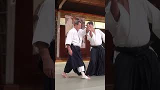 aikido #aikido #martial art