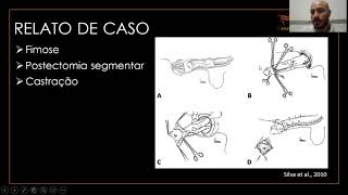 #35 "POSTECTOMIA SEGMENTAR PARA TRATAMENTO DE FIMOSE EM EQUINO: RELATO DE CASO"